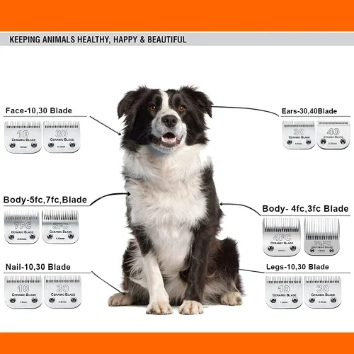 Vista 2 de 7PCS10 Cuchillas de aseo para perros compatibles con Andis Dog Clipper #10+30+40+3FC+4FC+5FC+7FC