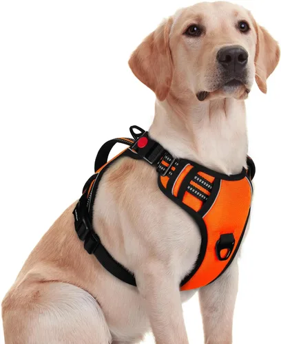 Vista 15 de rabbitgoo Arnés para perro de tamaño pequeño, arnés para mascotas sin tirones con mango acolchado suave, chaleco reflectante ajustable con 3