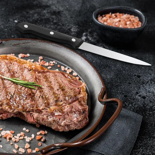 Vista 6 de Lasnten Juego de 100 cuchillos de carne de acero inoxidable de 8.78 pulgadas, punta puntiaguda, mango de plástico, cuchillo de cocina