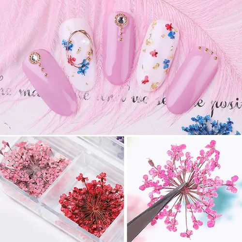 Vista 3 de 2 cajas de flores secas para uñas, mini flores de uñas reales 3D, flores secas, calcomanías de uñas, decoración de uñas, decoración de manicura