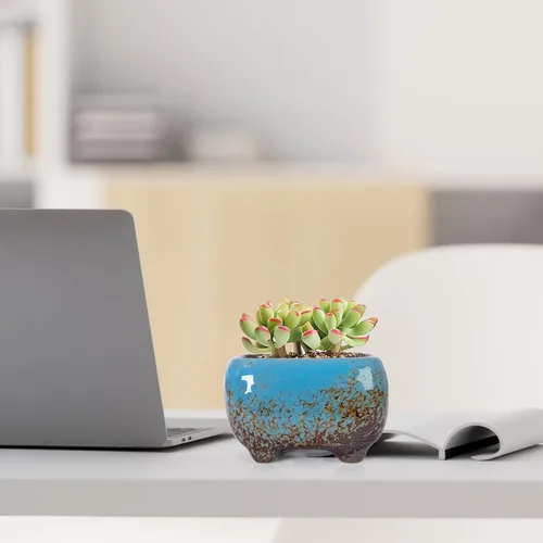 Vista 7 de ARTKETTY Succulent Pots, Small Plant Pots with Drainage Set of 6 Colorido-B