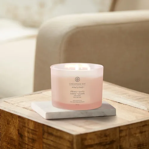 Vista 5 de Chesapeake Bay Vela perfumada Vela de aromaterapia en vaso de 3 mechas Stillness + Purity Tiempo de combustión: hasta 24 horas Colección Mind