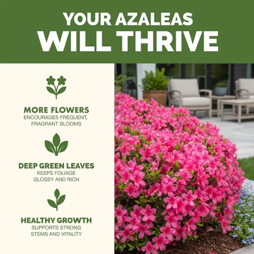 Vista 2 de Fertilizante Azalea - Alimento líquido para plantas para flores vibrantes, hojas verdes ricas y raíces más fuertes, 8 onzas
