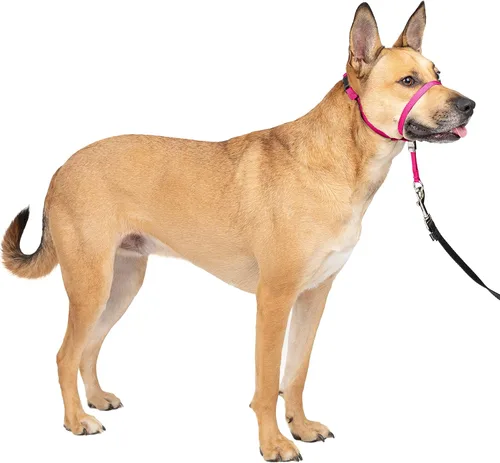 Vista 2 de PetSafe Gentle Leader - Collar de perro sin tirones, rosa frambuesa y correa de nailon para perro, resistente, duradera, estilo tradicional