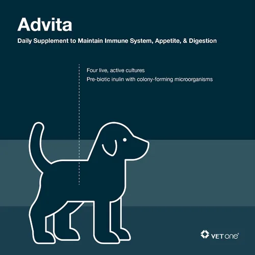 Vista 5 de Vet One Polvo probiótico Advita™ para perros, un suplemento nutricional diario para mantener el sistema inmunológico, el apetito y la digestión