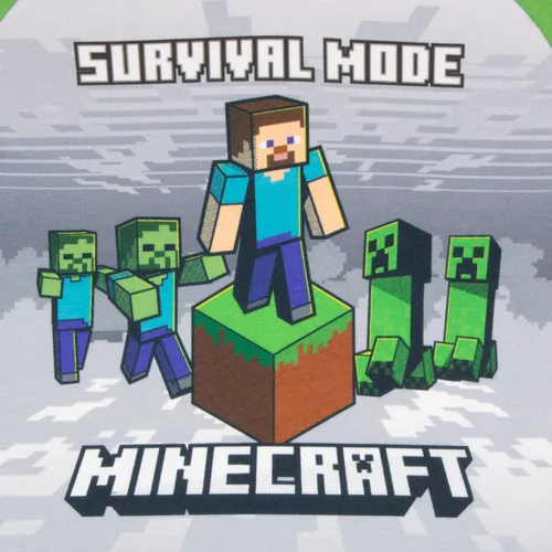 Vista 5 de Minecraft Boys Minecraft