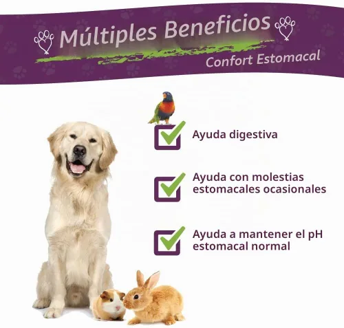 Vista 2 de Amber NaturalZ - ProTummy - Comodidad estomacal - para Petz - 1 onza