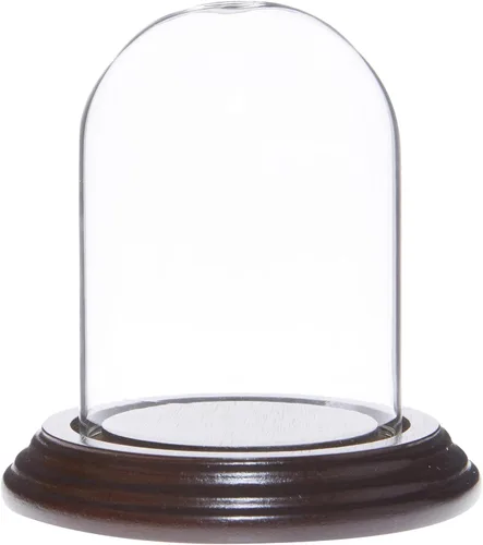 Vista 4 de Plymor Cúpula de cristal pequeña de 2.5 x 3.5 pulgadas (base de chapa de madera negra)