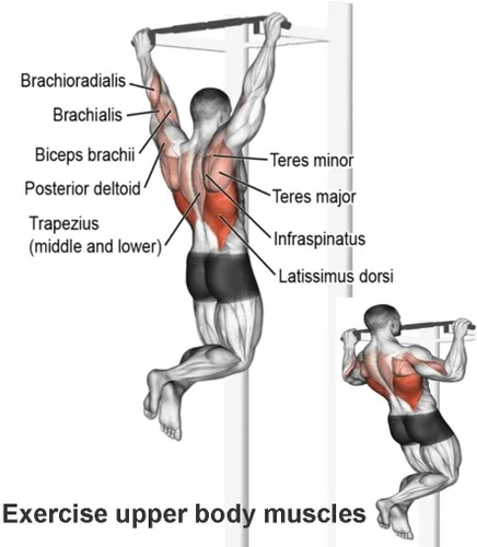 Vista 5 de Pull-Up Bars Wall-Mounted Pull-up Rods,Steel Horizontal Bars in The Door Corridor,Upper Body Muscle Exercise Fitness Equipment,Easy to Install,Load