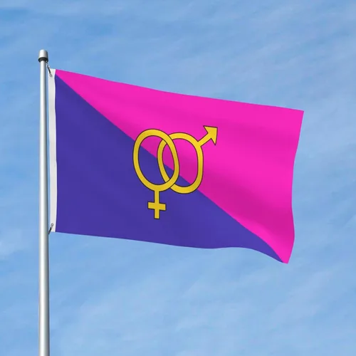 Vista 2 de Bandera de orgullo heterosexual heterosexual de 3 x 5 pies, decoración de doble cara para exteriores