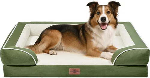 Vista 43 de Comfort Expression - Cama ortopédica para perros medianos, 28 x 19 pulgadas, cama impermeable y de apoyo de espuma con cojines removibles, sofá