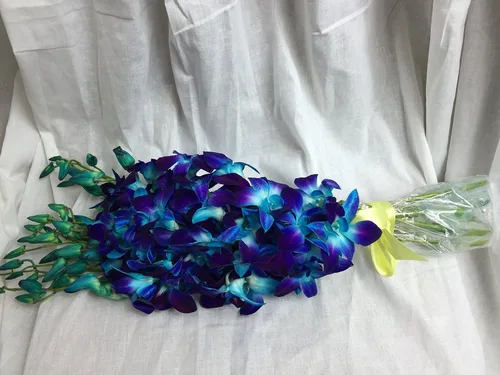 Vista 3 de PREMIUM Cut Azul orquídeas con eflowerwholesale Custom cinta para regalo