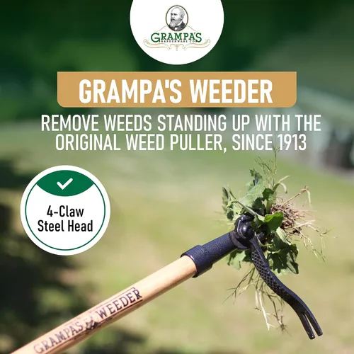 Vista 2 de Grampa's Weeder Herramienta original para arrancar malezas con mango largo