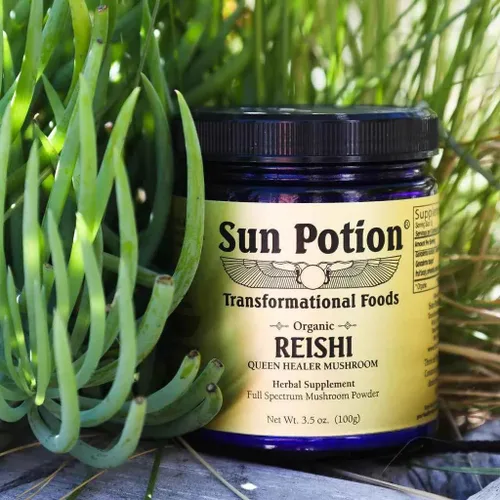 Vista 5 de Sun Potion Reishi Hongo en polvo orgánico, 3.53 onzas por pote.