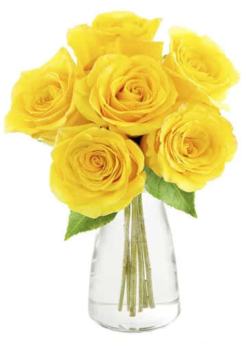 Vista 18 de KaBloom - Rosas arcoíris (media docena)- Flores frescas para cumpleaños, San Valentín y Día de la Madre