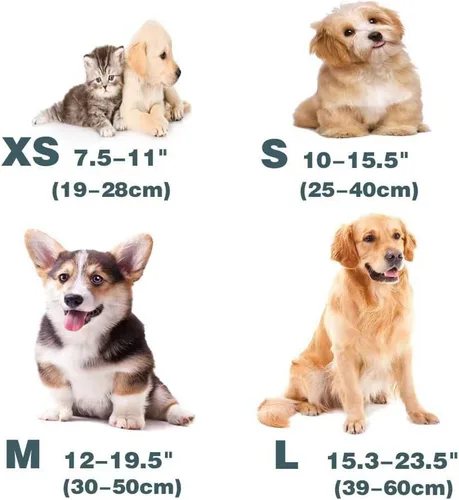 Vista 3 de Juego personalizado de collar y correa para perro con nombre y placa de número de teléfono, collar de perro con margaritas personalizado para perros
