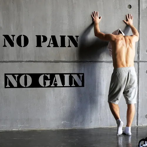 Vista 2 de 2 hojas de calcomanías de pared para gimnasio, sin dolor, sin ganancia, para gimnasio, abierto 24/7, etiqueta de motivación, cita inspiradora, gran