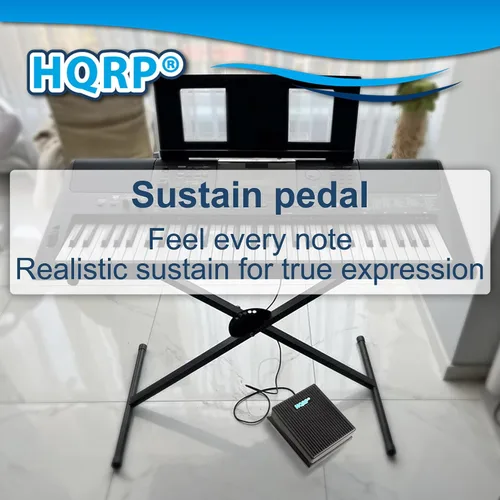 Vista 7 de HQRP Pedal Sustain para Casio CTK-2090, CTK-2400, CTK-3200, CTK-3500, CTK-4200, CTK-4400, CT-X700, PX-160, PX-S1100, CDP-S350, WK-6600 – Compatible