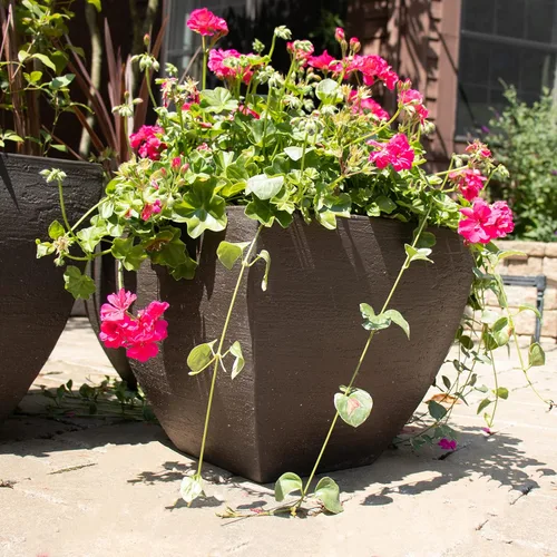 Vista 3 de Tusco Products MSQ16BK - Maceta cuadrada moderna para jardín, 16 pulgadas, color negro