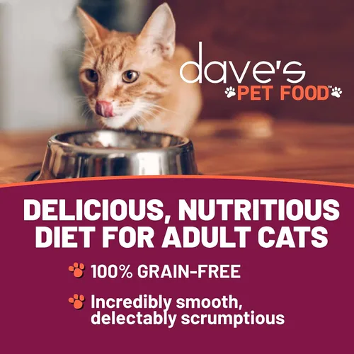 Vista 2 de Dave's Pet Food Grain Free Wet Cat Food (Chicken & Duck Saucey Pate), Naturally Healthy Canned, Added Vitamins & Minerals, Wheat Free, 5.5 oz