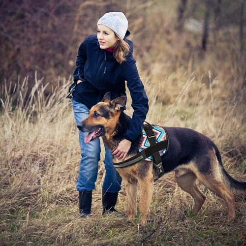 Vista 4 de Dogline Arnés para perro, chaleco reflectante ajustable sin tirones con asa para caminar, entrenar, transpirable, arnés sin estrangulamiento