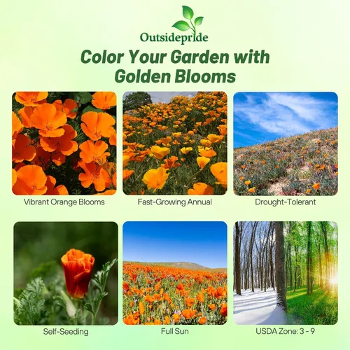 Vista 3 de Outsidepride Semilla de amapola de California - 1/4 LB