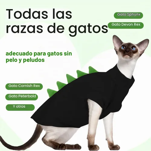 Vista 5 de DENTRUN Sphynx - Camisa de gato con forma de dinosaurio y camiseta de Negro