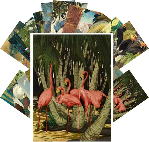 Vista 10 de PIXILUV Postales vintage (24 piezas de 4 x 6 pulgadas cada una) Pinturas de pájaros bonitos de loros y cacatúas, postales vintage, tarjetas