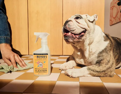Vista 8 de Mrs. MEYER'S Clean Day Limpiador multisuperficie para mascotas, aroma a flor de naranja, 16 onzas, (paquete de 2)