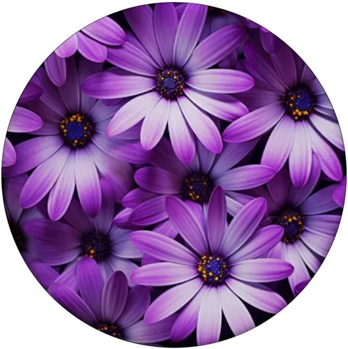 Vista 3 de Purple Daisy Flora Wildflowers PopSockets Standard PopGrip