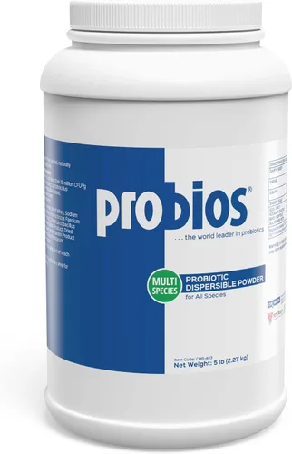 Vista 9 de Probios Apoyo Digestivo Probiótico para Todas las Especies, Probióticos para la Salud Intestinal, Polvo Dispersable, 240 g