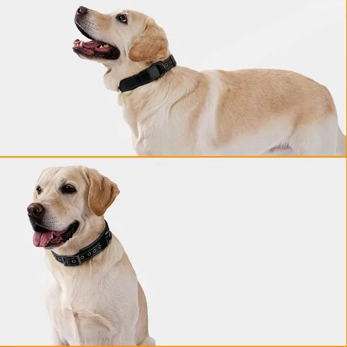 Vista 5 de Annchwool Juego de collar ajustable para perro y correa de 5 pies con hebilla de metal resistente, cómodo forro reflectante y doble asa para perros