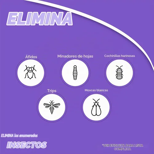 Vista 6 de Bonide (BND951 - Control sistémico de insectos para plantas domésticas, insecticida imidacloprid 0.22% (8 onzas), blanco (4)