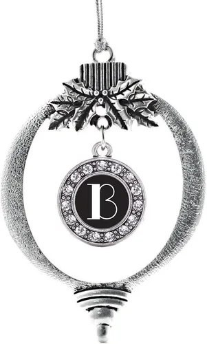 Vista 338 de Inspired Silver - Adorno de cromosoma 21 con dije de círculo de plata con joyas de circonita cúbica