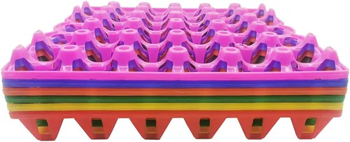 Vista 5 de Paquete de 6 bandejas de plástico para huevos de pollo para productos agrícolas, estantes para huevos, pato, 30 bandejas para poner huevos