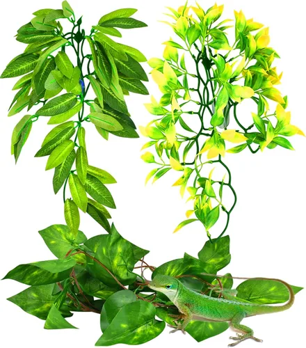 Vista 9 de KATUMO Plantas de reptiles, 3 plantas colgantes de anfibios con ventosa para lagartos, geckos, dragones barbudos, serpientes, cangrejos ermitaños