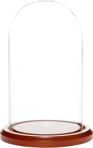 Vista 8 de Plymor Cúpula de cristal de 4.5" x 8" (base de chapa de roble)
