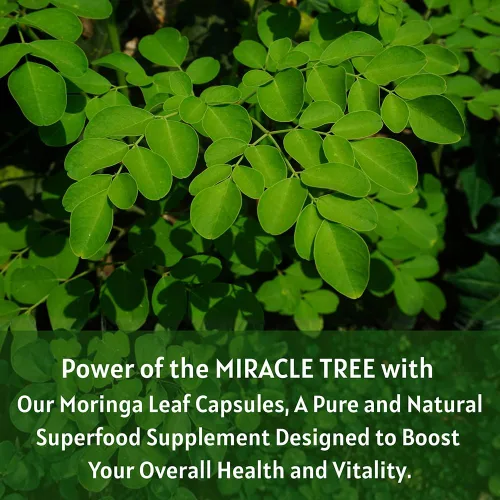 Vista 4 de Cápsula de Moringa de 1000 mg (120 cápsulas), cápsulas de polvo de moringa hechas de polvo de hoja de moringa orgánica Nutrición integral sin OMG
