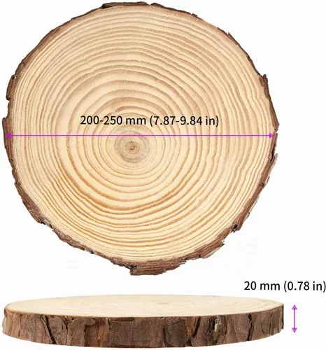 Vista 2 de JEUIHAU 6 piezas de rebanadas de madera natural sin terminar de 8 a 10 pulgadas, discos redondos de madera para corteza de árbol, círculos de madera