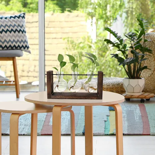 Vista 4 de Terrario para plantas con soporte de madera, jarrón de propagación de mesa, macetas hidropónicas de vidrio, maceta de aire, florero de vidrio