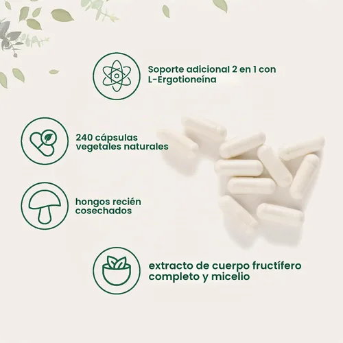 Vista 3 de Micro Ingredients Extracto de hongo melena de león con L-ergotioneína, 240 cápsulas vegetales, suministro para 4 meses Sin OMG