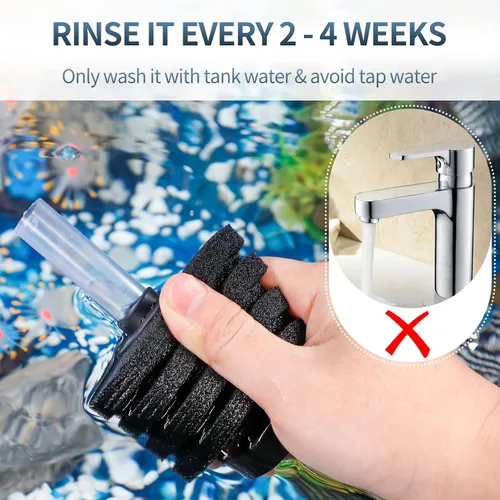 Vista 7 de Pawfly Filtro de Esponja de Esquina Nano Silencioso Betta Fry Camarones y Peces Pequeños Filtro de Espuma Biológica para Acuarios Pequeños y Tanques