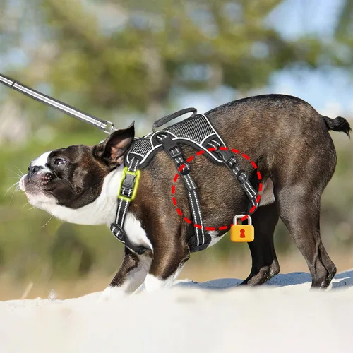 Vista 4 de HEELE Arnés para perro, arnés para perro a prueba de escapes, liberación en el cuello, chaleco ajustable reflectante sin tirones con mango duradero