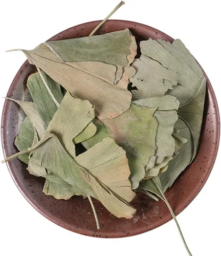 Vista 3 de Hojas secas de Ginkgo Biloba Ginkgo Biloba Hojas sueltas secas - Gingko Maidenhair Tree Yinxingye (8.82 oz)