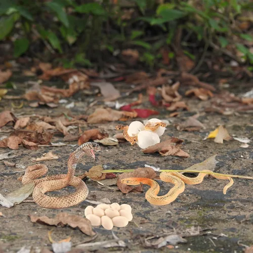 Vista 8 de Ciclo de crecimiento de la serpiente, modelo de ciclo de crecimiento de cobra, juguetes de figuras de serpientes, mini figura de serpientes