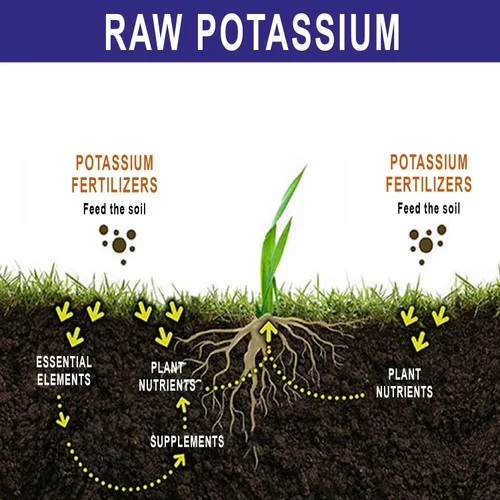Vista 4 de RAW Fertilizante de potasio - Soluble en agua de alto potasio para plantas, 2 lb Fertilizer for Garden Use and Vegetable Cultivation - Bloom &