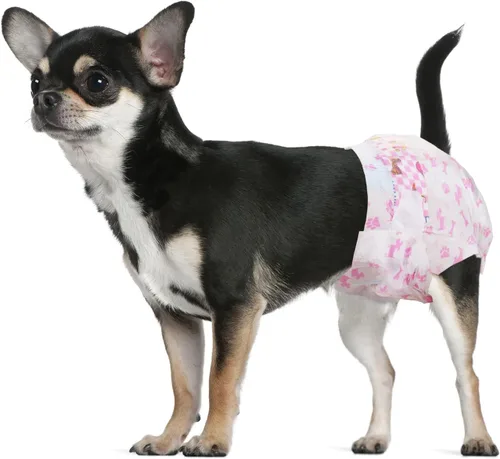 Vista 7 de Dono Pañales desechables para perras, pañales súper absorbentes para perros, con tecnología de gel de secado rápido, a prueba de fugas, ajuste