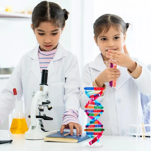 Vista 4 de NUOBESTY Kit de modelo de ADN, modelo de estructura de doble hélice, 13 pulgadas para ensamblar ayuda docente de biología con soporte
