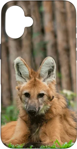 Vista 22 de Funda para iPhone 13 Pro Max Maned Wolf
