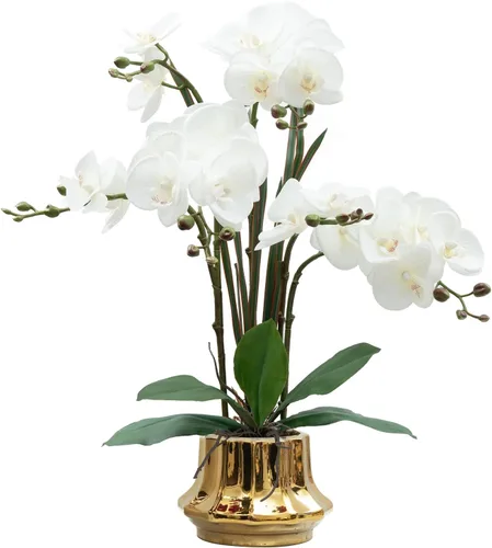 Vista 21 de CXGS Planta de orquídeas artificiales de 20.9 pulgadas, orquídeas artificiales de tacto real en jarrón de cerámica, arreglo floral de Phalaenopsis